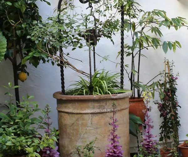 Гостевой дом Casa Longa Кордова