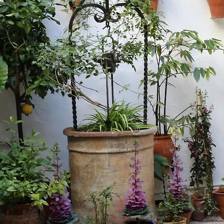 Pensionat Casa Longa Córdoba