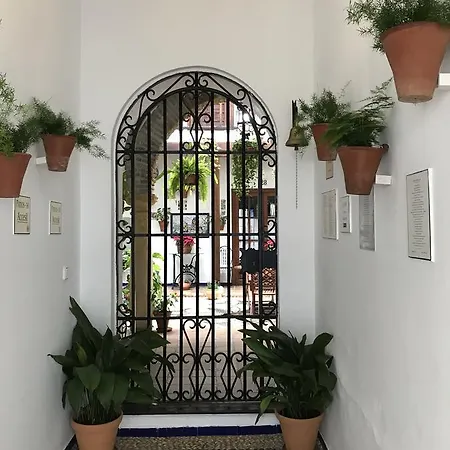 Casa Longa Гостьовий будинок